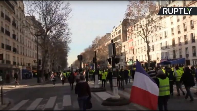 Video: Yellow Vest protest in Paris: Week 14