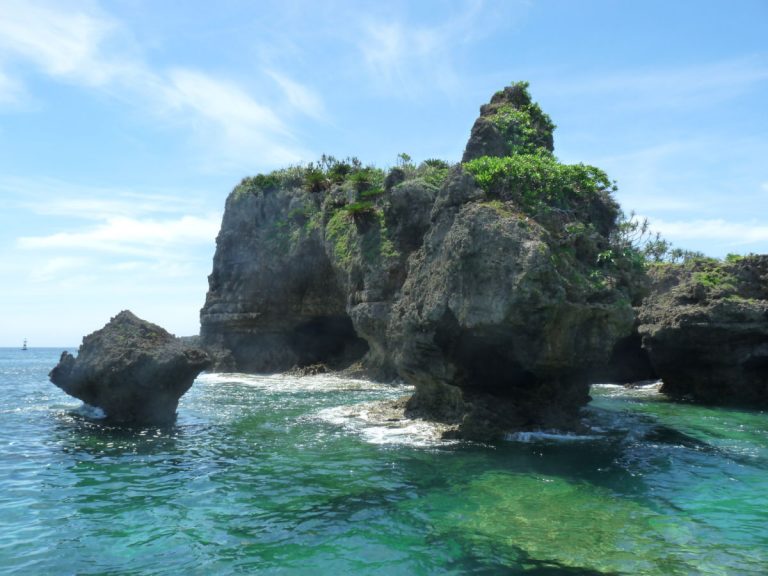 US Military Base Threatens Biodiversity in Okinawa